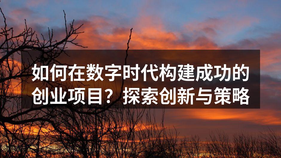 如何在数字时代构建成功的创业项目？探索创新与策略