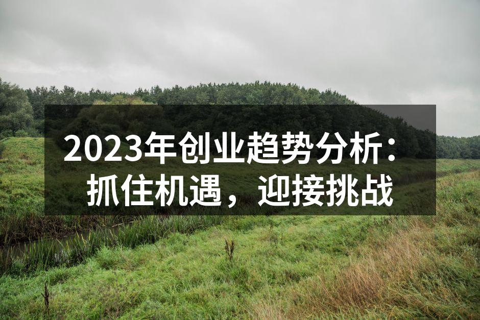 2023年创业趋势分析：抓住机遇，迎接挑战